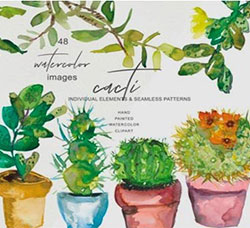 48张高清背景透明的北欧风水彩仙人掌/花盆PNG图片：Watercolor Cactus Clip Art Colle